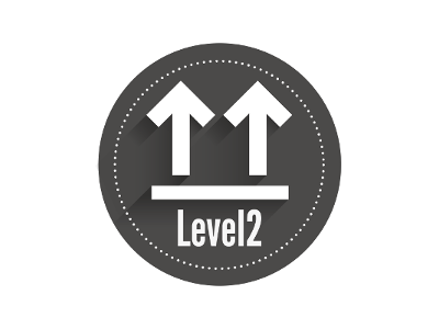 Level 2